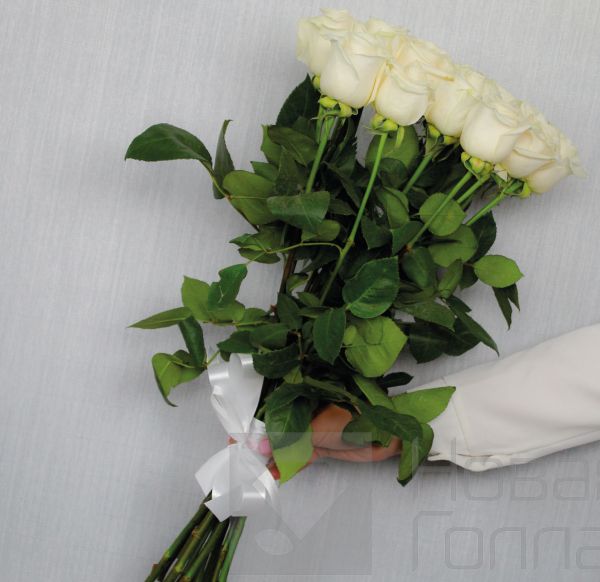 15 белых роз Эквадор 60 см