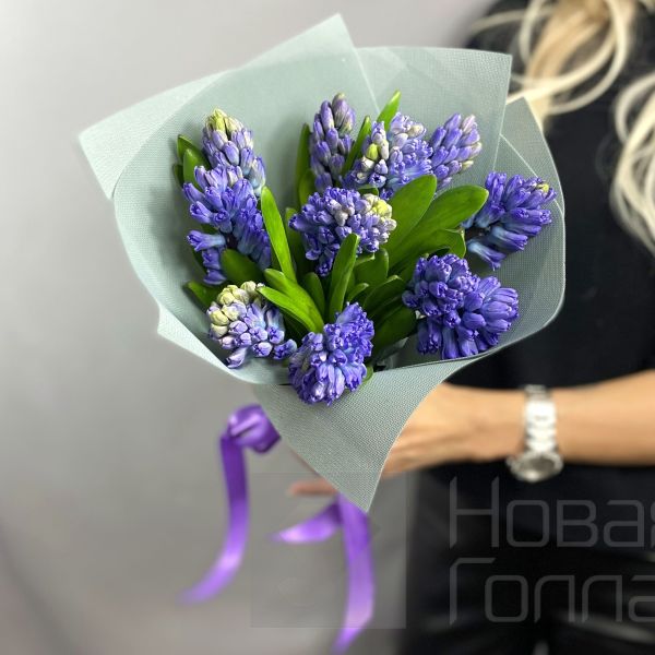 Букет 11 гиацинтов