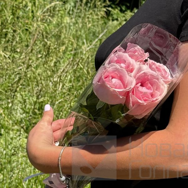 Букет 9 розовых роз