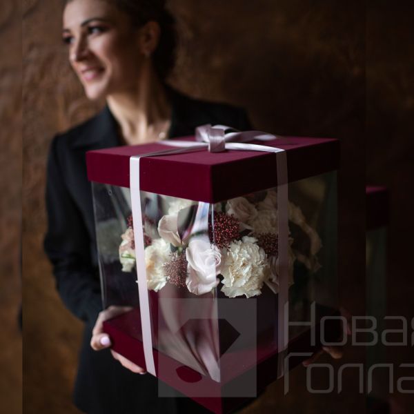 Аквариумная коробка Бордо Руж